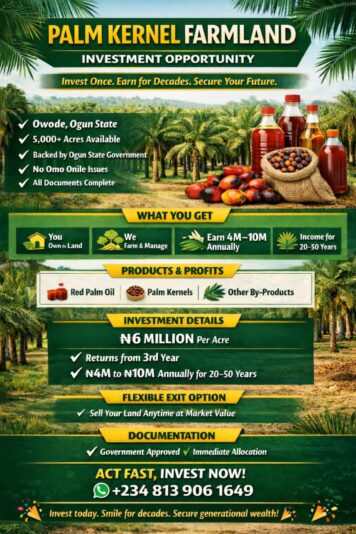 IMG-20260104-WA0018(1)