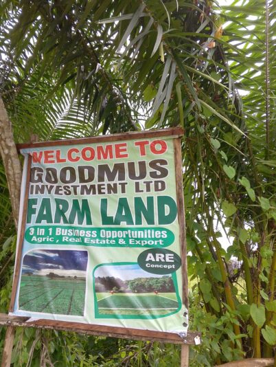 IMG_20250924_144455_631