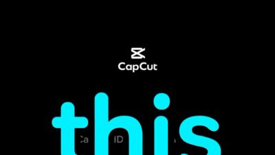 cdaffff3-69d9-422d-8937-8a1d33c61b77