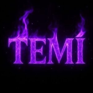 Profile photo of Temitope Lawal