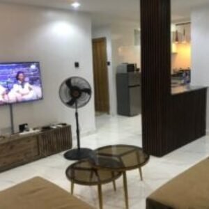 Profile photo of Adewale