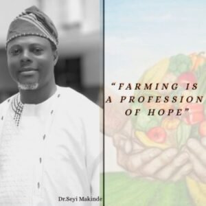 Profile photo of Seyi Makinde